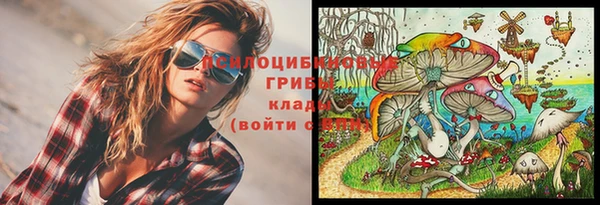 дурь Кулебаки
