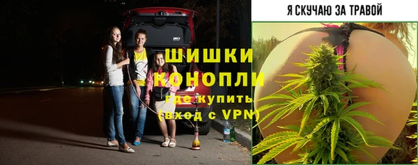гашик Кукмор